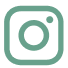 instagram social icon